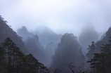 走进美丽中国：唯美风景图片欣赏